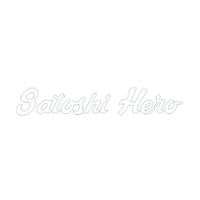 Satoshi Hero Casino